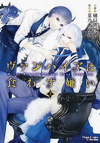 Cover image for The Vampire's Prejudice