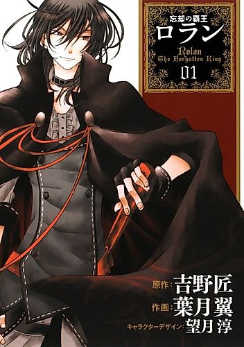Cover image for Rolan the Forgotten King