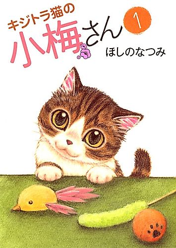 Cover image for Plum Crazy! Tales of a Tiger-Striped Cat