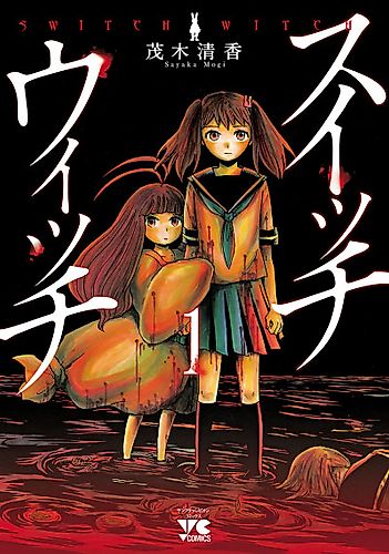 Cover image for Switch Witch