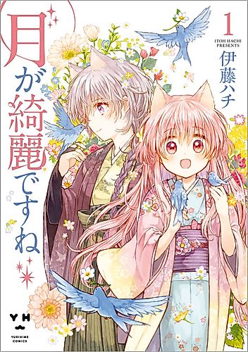 Cover image for Isn't the Moon Beautiful