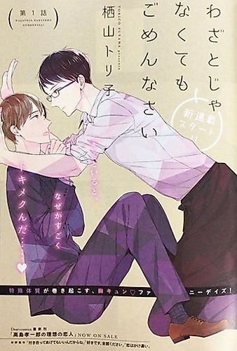 Cover image for Wazato ja Nakutemo Gomennasai