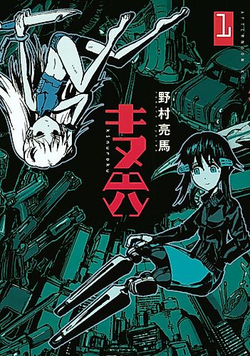 Cover image for Kinuroku