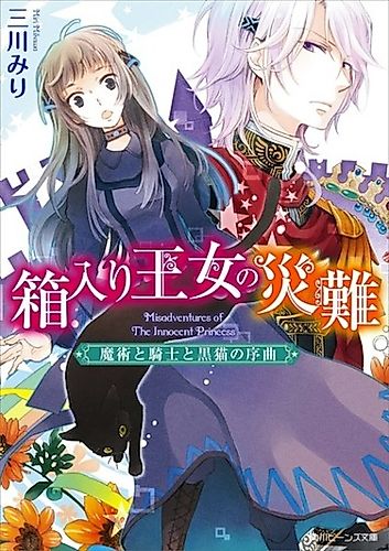 Cover image for Misadventures of The Innocent Princess