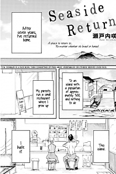 Cover image for Seaside Return