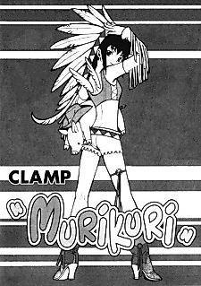 Cover image for Murikuri