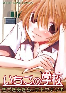 Cover image for Ichigo's School