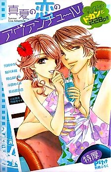 Cover image for Summer Love Adventures