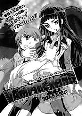 Cover image for Vampire Wing