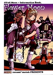 Cover image for Flower Moon