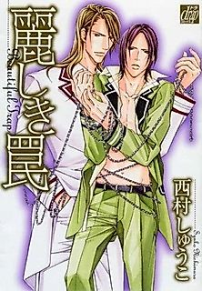 Cover image for Beautiful Trap