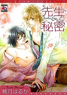 Cover image for Teacher & Secret