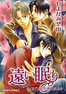 Cover image for Distant Dream