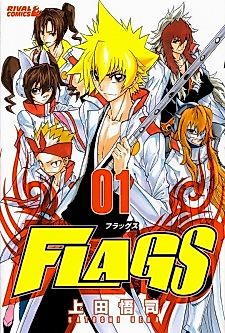 Cover image for FLAGS