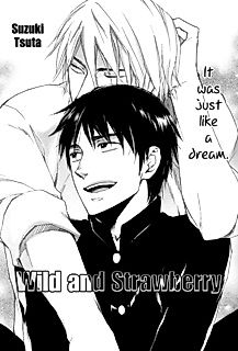 Cover image for Wild and Strawberry
