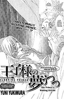 Cover image for Sleeping Prince