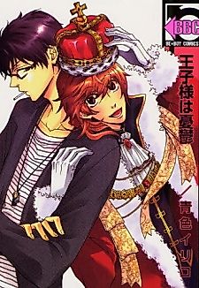 Cover image for The Prince Is Depressed