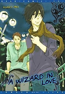 Cover image for A Wizard in Love