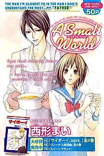 Cover image for A Small World