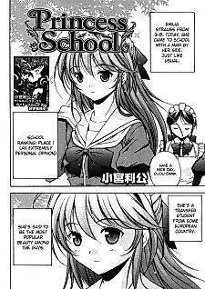 Cover image for Princess School