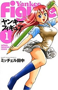 Cover image for Yankee Figure