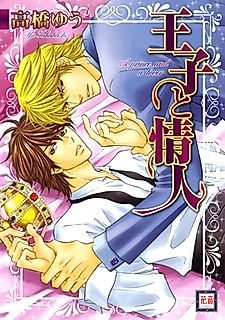 Cover image for A Prince and a Lover