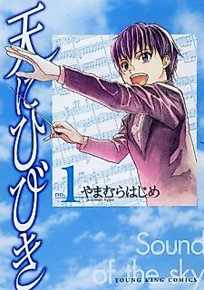 Cover image for Sound of the Sky