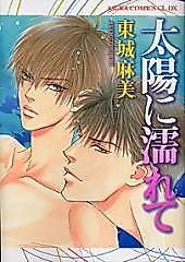 Cover image for Soaked by the Sun