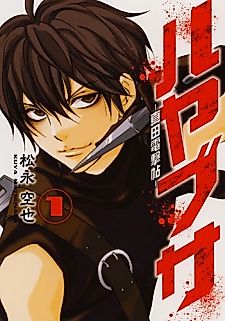 Cover image for Falcon - Braid Blitz