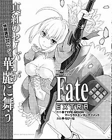Cover image for Fate/Extra