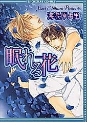 Cover image for Sleeping Flower