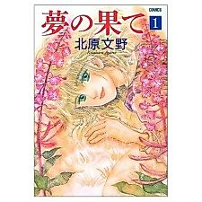 Cover image for The end of the dream