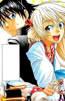Cover image for Nisekoi