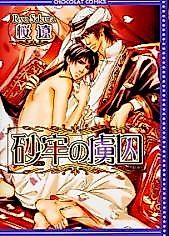 Cover image for The Sand Prison's captive