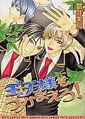 Cover image for Capture the Prince