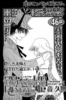 Cover image for The Locked-up Maiden