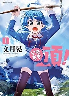 Cover image for The Summit!