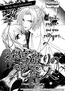 Cover image for Meikyuu Yaburi no Hananusubito