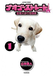 Cover image for NaoGo Straight -Guide Dog Trainer-