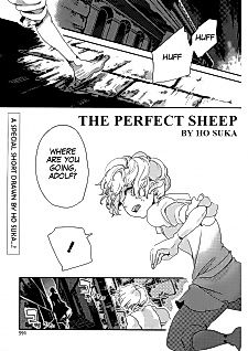 Cover image for The Perfect Sheep