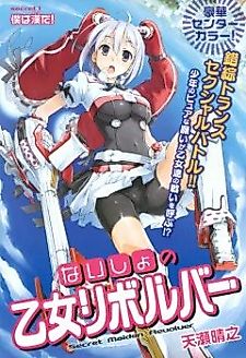 Cover image for Secret Maiden Revolver