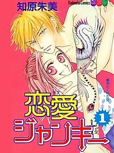 Cover image for Love Junky