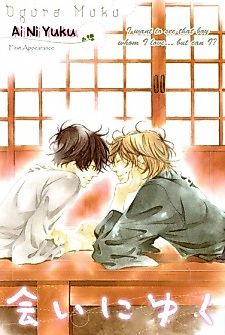 Cover image for Ai ni Yuku
