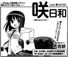 Cover image for Saki-Biyori: The Adults' Story (BG Edition)