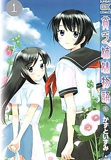 Cover image for Poor Sisters Story