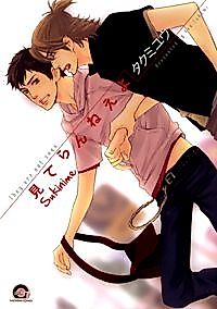 Cover image for They are not seen.