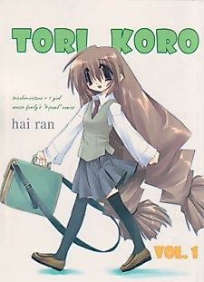 Cover image for Tori Koro