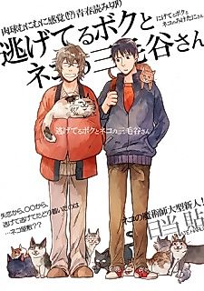 Cover image for Miketani's Cats and My Escape