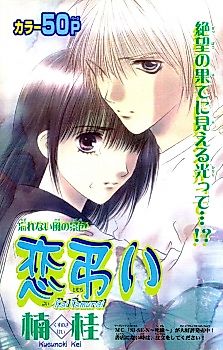Cover image for Love Burial