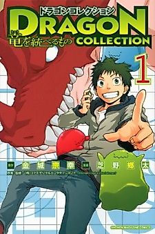 Cover image for Dragon Collection - Ryuu o Suberumono